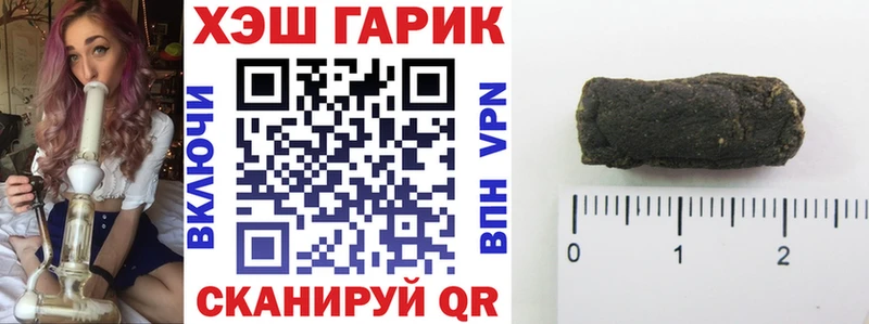 ГАШ Изолятор  Обь 