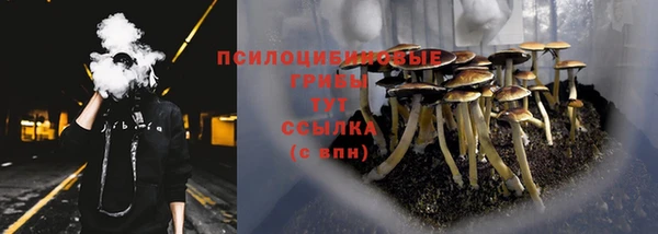 a pvp Балабаново