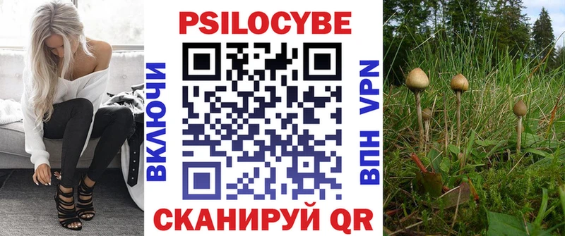 Псилоцибиновые грибы Psilocybe  ОМГ ОМГ как зайти  Обь 